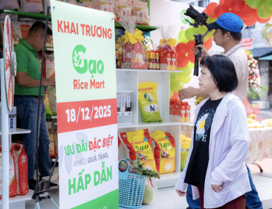 Gạo Sạch TPHCM Là Gì? Cách Nhận Biết Gạo Sạch – Gạo Pha Trộn