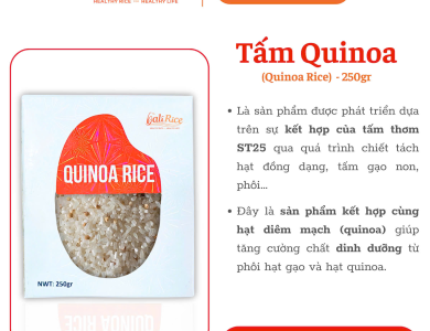Tấm QUINOA
