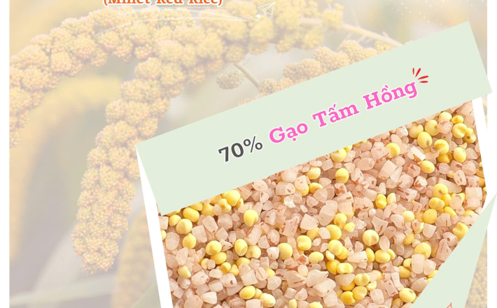 Tấm Hồng Hạt Kê